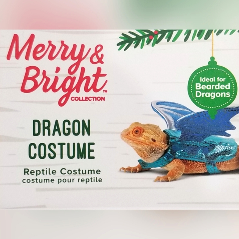 Bearded Dragon - Dragon costume